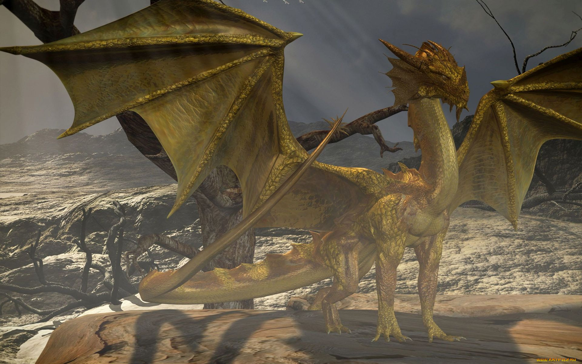 3 ,  , creatures, , , 